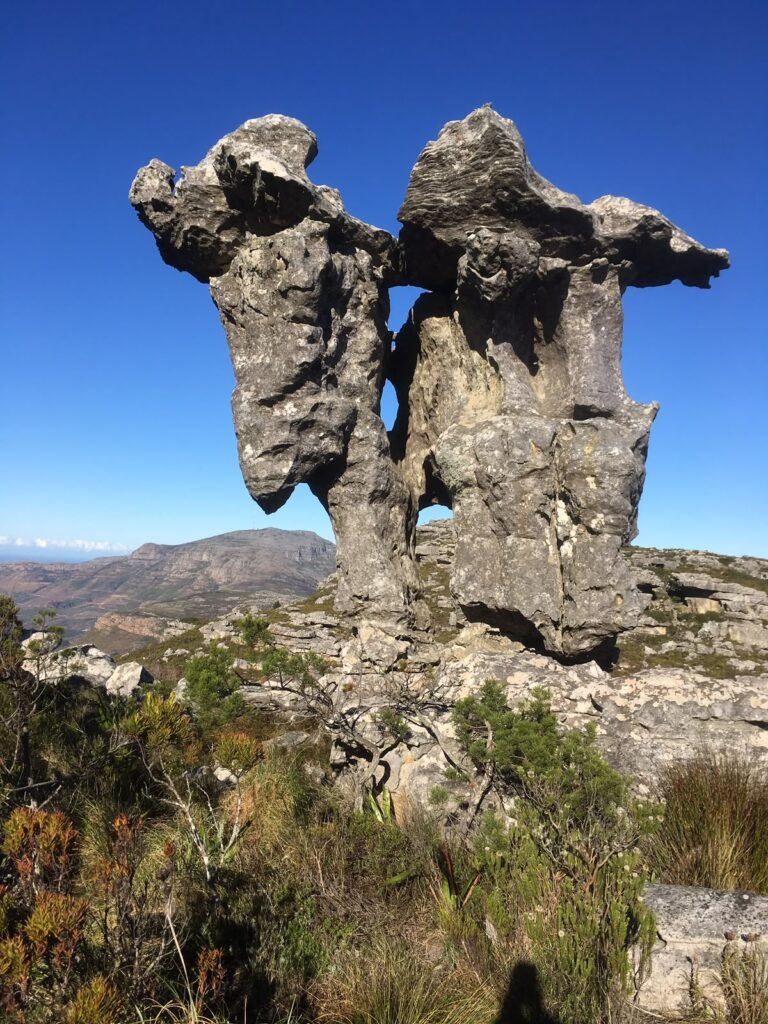 Otherworldly structures that can be seen along the lots of Table Mountain hikes, that are available.