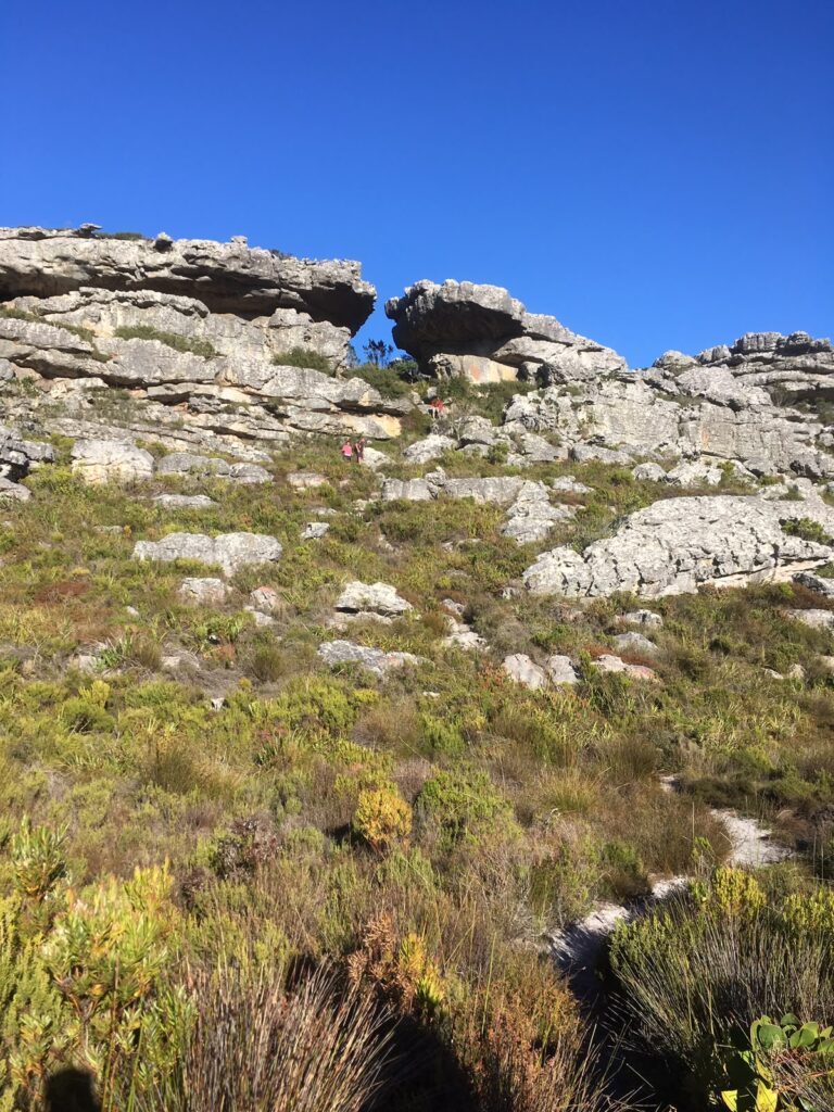 Plenty of fascinating rock structures, among the hikes on Table Mountain